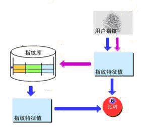 指纹识别技术算法